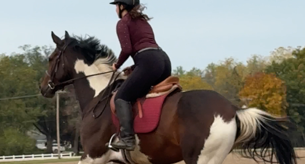 Person riding a brown and white horse in an outdoor setting with trees in the background