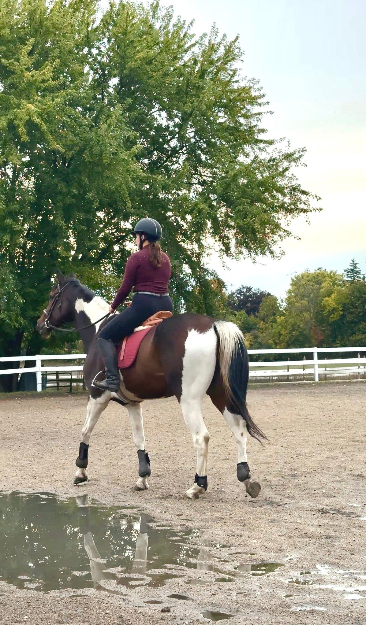Person riding a horse in an outdoor setting with trees in the background
