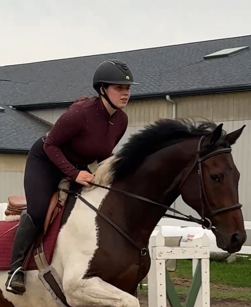 Person riding a horse over an obstacle in an equestrian setting
